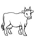 Coloriage Vaches 35