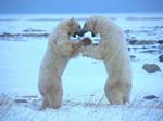 OURS