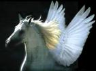 PEGASO 