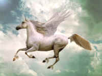 PEGASO 