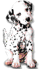 Gifs Animés 101-dalmatiens 18