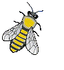 Gifs Animés abeilles 68