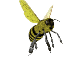 Gifs Animés abeilles 84