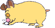 Gifs Animés animaux varies 259