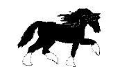 Gifs Animés animaux varies 291