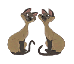 Gifs Animés aristochats 4