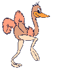 Gifs Animés autruches 17