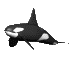 Gifs Animés balenes 11