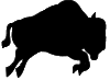 Gifs Animés bisons 1