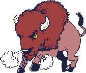 Gifs Animés bisons 9