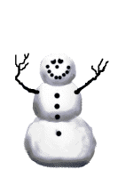 Gifs Animés bonhomme de neige 113