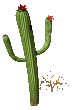 Gifs Animés cactus 17