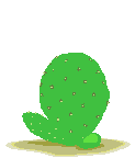 Gifs Animés cactus 32
