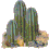 Gifs Animés cactus 6