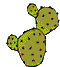Gifs Animés cactus 8