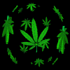 Gifs Animés cannabis 4