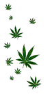 Gifs Animés cannabis 6