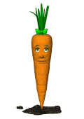 Gifs Animés carottes 29