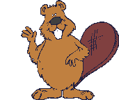 Gifs Animés castores 31