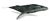 Gifs Animés cetaces 1