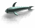 Gifs Animés cetaces 3