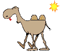Gifs Animés chameaux 11
