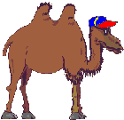 Gifs Animés chameaux 20