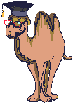 Gifs Animés chameaux 29