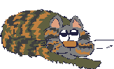 Gifs Animés chats 1330
