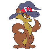 Gifs Animés chats 1426