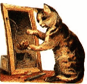 Gifs Animés chats 1431
