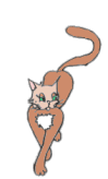 Gifs Animés chats 280