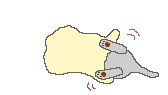 Gifs Animés chats 292