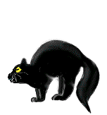 EMOTICON chats 297