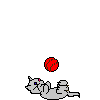 Gifs Animés chats 421