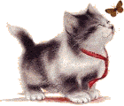 Gifs Animés chats 444