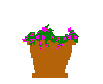 Gifs Animés chats 510