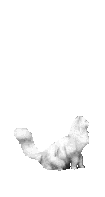 EMOTICON chats 727