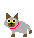 Gifs Animés chats 966