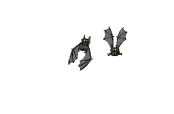 Gifs Animés chauve souris 56