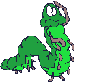 Gifs Animés chenilles 66