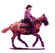 Gifs Animés chevalins 126