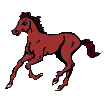Gifs Animés chevalins 127