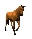 Gifs Animés chevalins 131