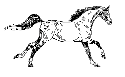 EMOTICON chevals 134