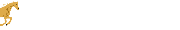 Gifs Animés cheveaux 129