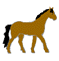 Gifs Animés cheveaux 39