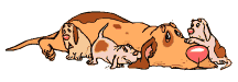 Gifs Animés chiens 224