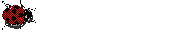 Gifs Animés coccinelles 2