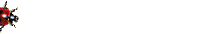 Gifs Animés coccinelles 46